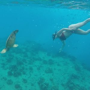 Meet your Posher, Trisha