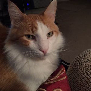 Meet your Posher, Johnna