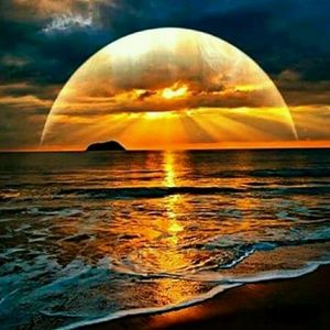 Meet your Posher, Philip