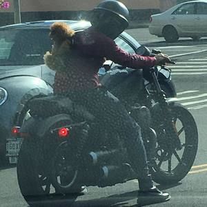 Meet your Posher, Marco