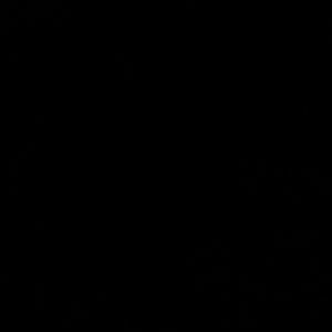 Meet your Posher, Bradley