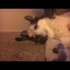 Meet your Posher, Tracy