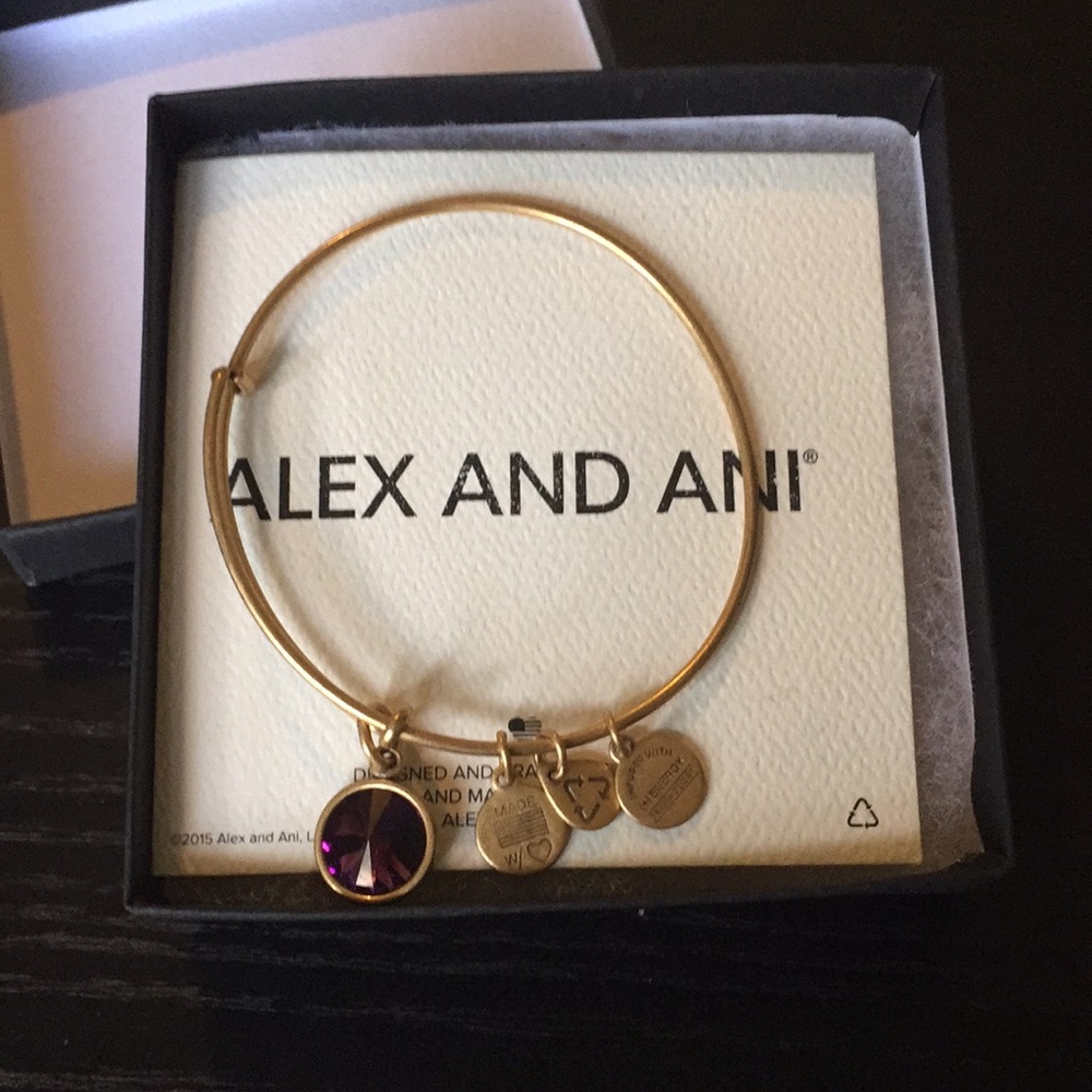 Amethyst February Bracelet