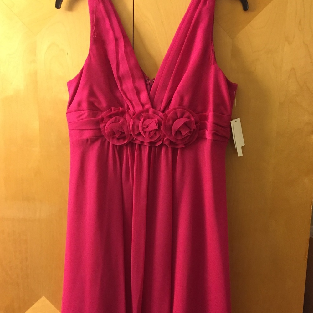 Liliana Hot Pink Chiffon Dress with roses Size 12