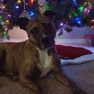 Meet your Posher, Kristen