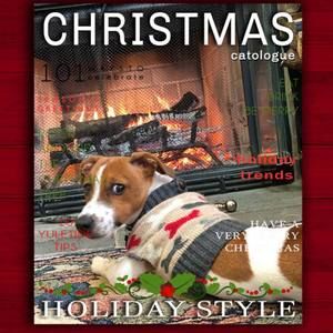 Meet your Posher, Gale