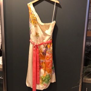 Cutest J Crew silk dress