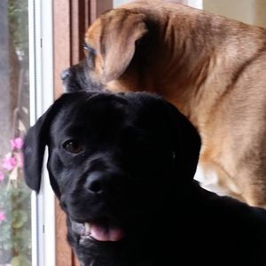 Meet your Posher, Lynn