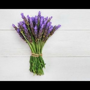 Meet your Posher, Hettie