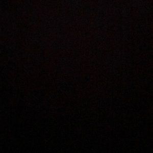 Meet your Posher, Brenna