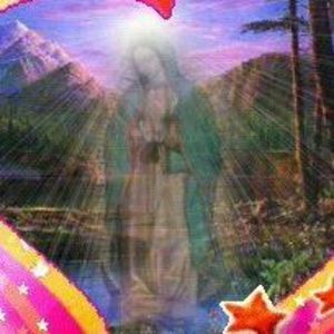 Meet your Posher, Vidal