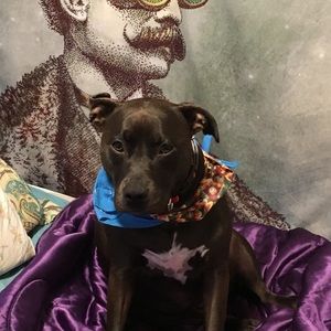 Meet your Posher, Olivia