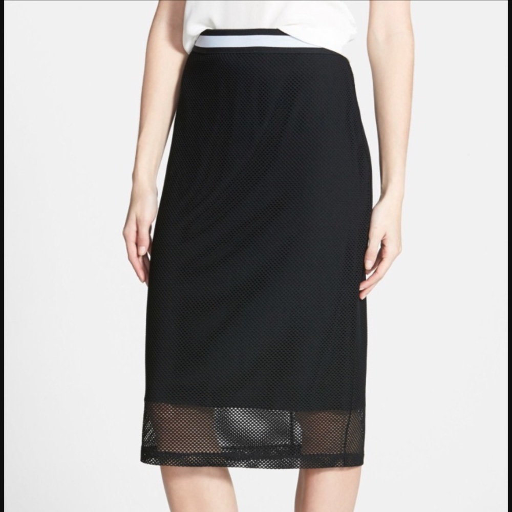LAST DAY Trouve Mesh Pencil Skirt - Picture 1 of 6