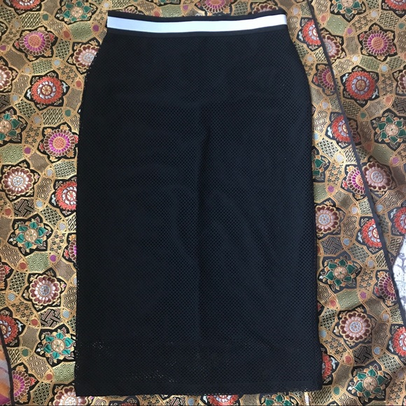 LAST DAY Trouve Mesh Pencil Skirt - Picture 3 of 6