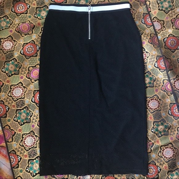 LAST DAY Trouve Mesh Pencil Skirt - Picture 4 of 6