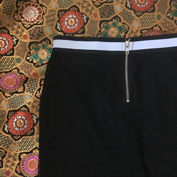 LAST DAY Trouve Mesh Pencil Skirt - Picture 5 of 6