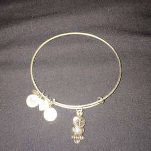 Alex and Ani charm bracelet