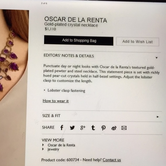 Oscar de la Renta - Picture 7 of 7