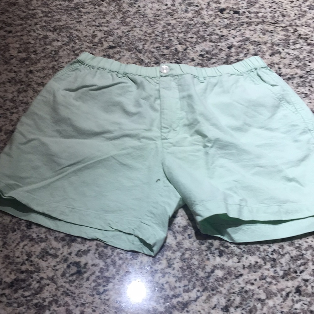 Chubbies mint green shorts
