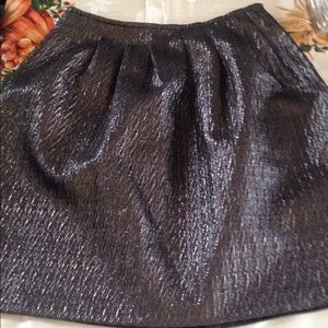 Etro Sz 42 Shimmery Holiday Party Skirt