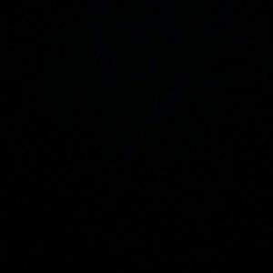 Meet your Posher, Isabelle