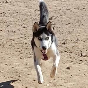 Meet your Posher, Joseph