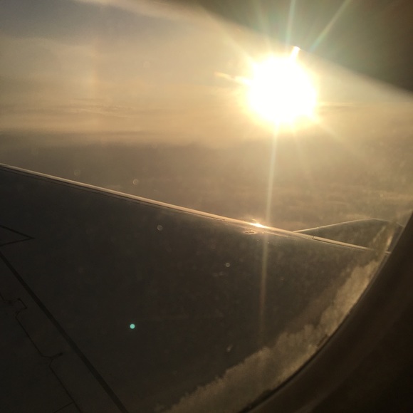 Meet your Posher, Sophie - Picture 1 of 1