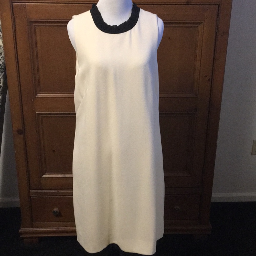 J Crew dress