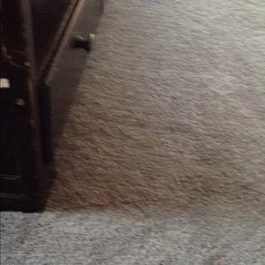 Meet your Posher, Lexie