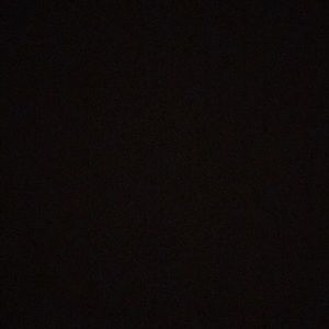 Meet your Posher, Shelby