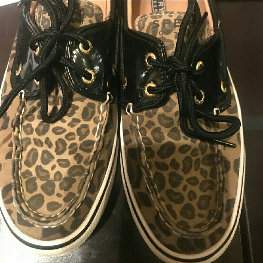 Cheetah Sperrys