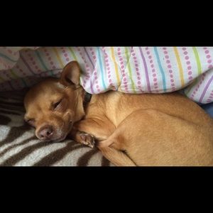 Meet your Posher, Morghan