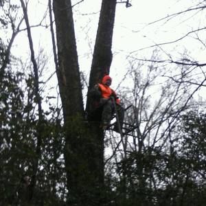 Meet your Posher, Donavon