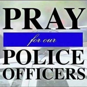 Meet your Posher, Brandyn