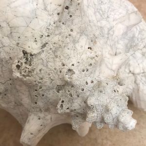 Meet your Posher, Britt