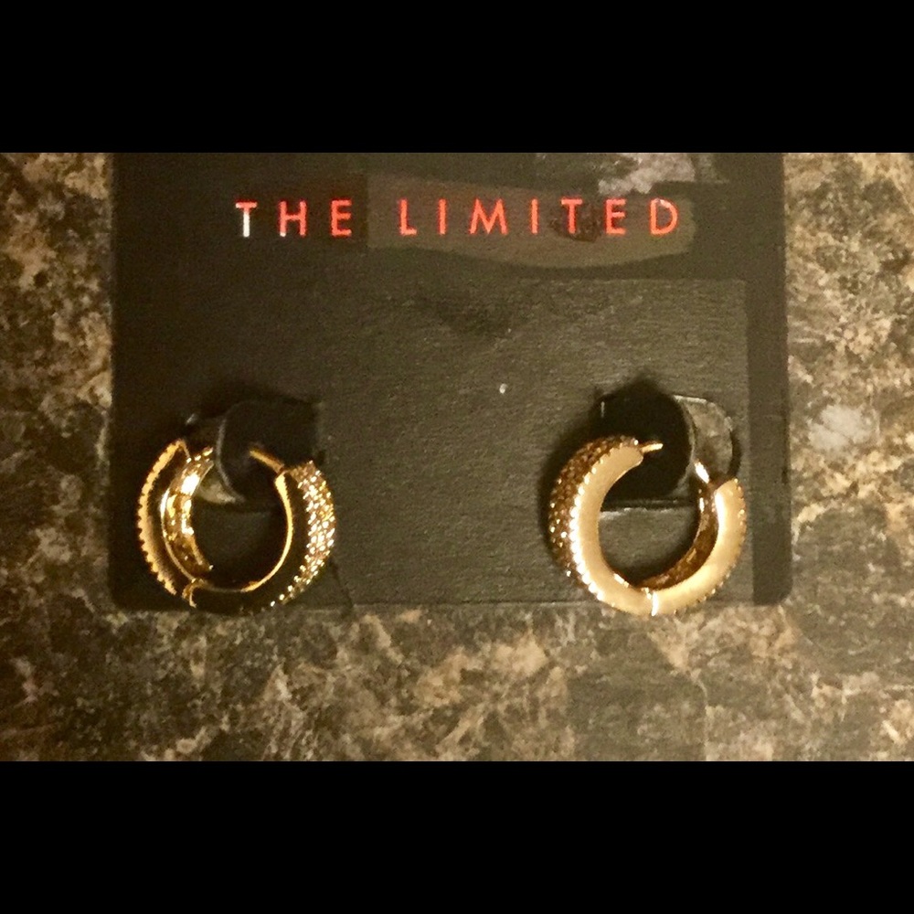 Gorgeous small hoop earrings The Limited! NEW!
