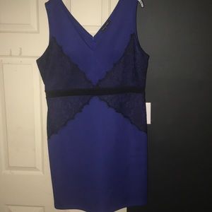 Fashion to Figure Navy Blue Black Lace Dress!!