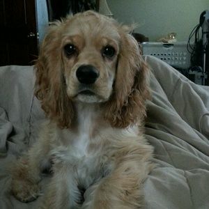 Meet your Posher, Marianne