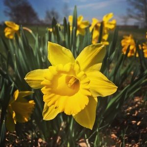 Meet your Posher, Jonathan