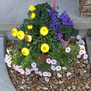 Meet your Posher, Barbara