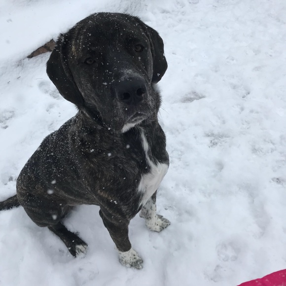 Meet your Posher, Jackie - Picture 1 of 2