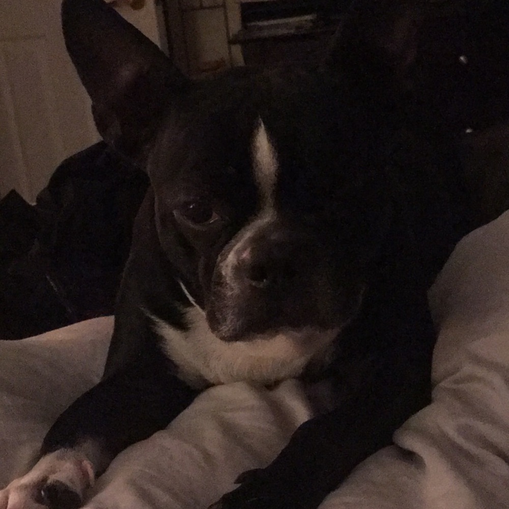 Meet your Posher, Althe