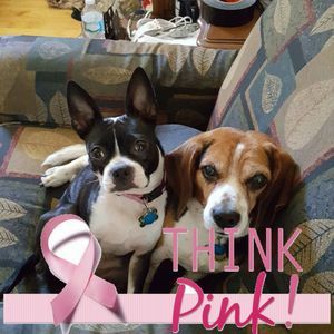 Meet your Posher, Tania