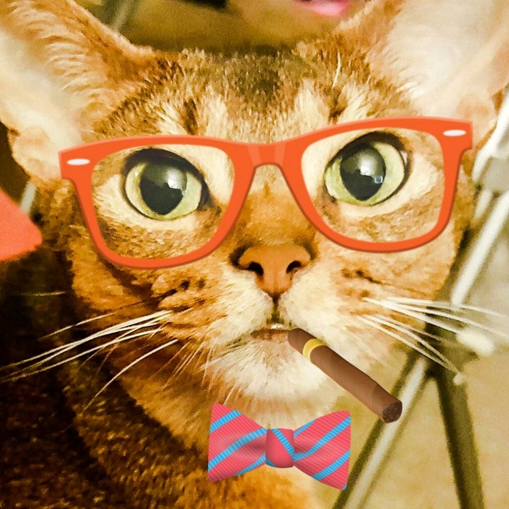 Meet your Posher, Alexandra