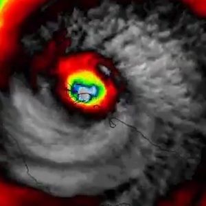 Meet your Posher, Jaime