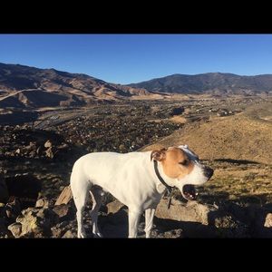 Meet your Posher, Ben