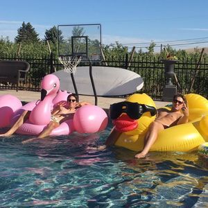 Meet your Posher, Brent