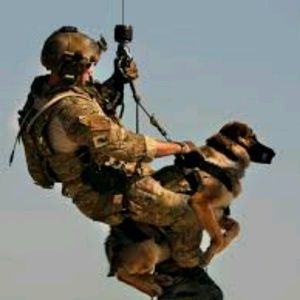 Meet your Posher, Zach