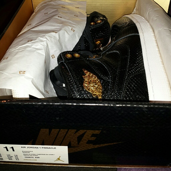 Jordan 1 Pinnacle