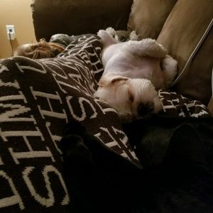 Meet your Posher, Alexia